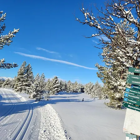 Kvamsfjellet - Rondane シャレー *