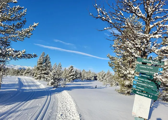 Kvamsfjellet - Rondane בקתה *